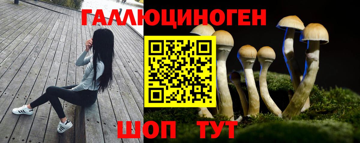 Галлюциногенные грибы Cubensis Набережные Челны